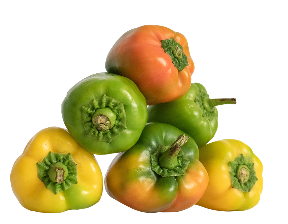 bell pepper, free bell pepper png, bell pepper png image, transparent bell pepper png image, bell pepper png full hd images download